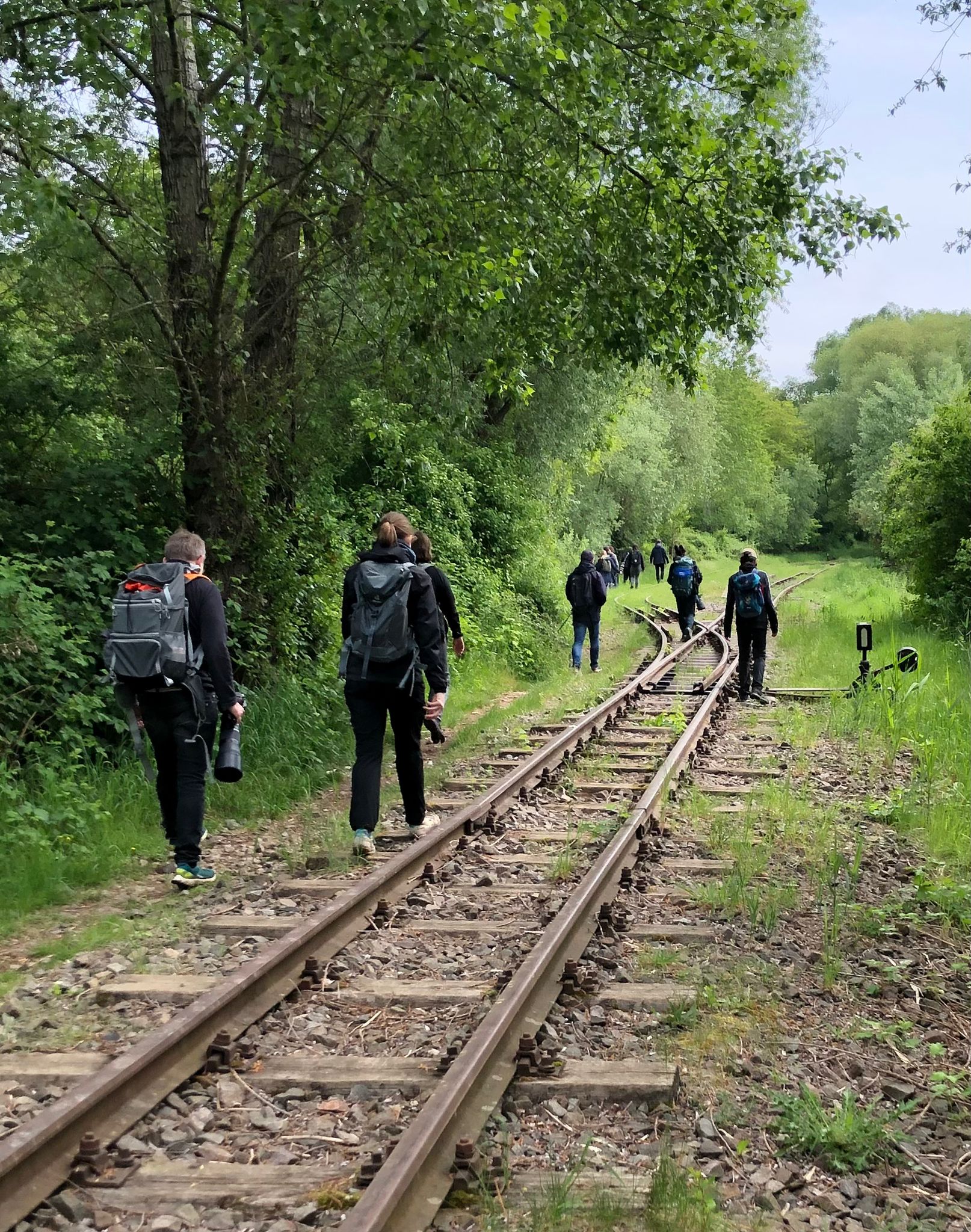 Birder*innen wandern entlang der Gleise