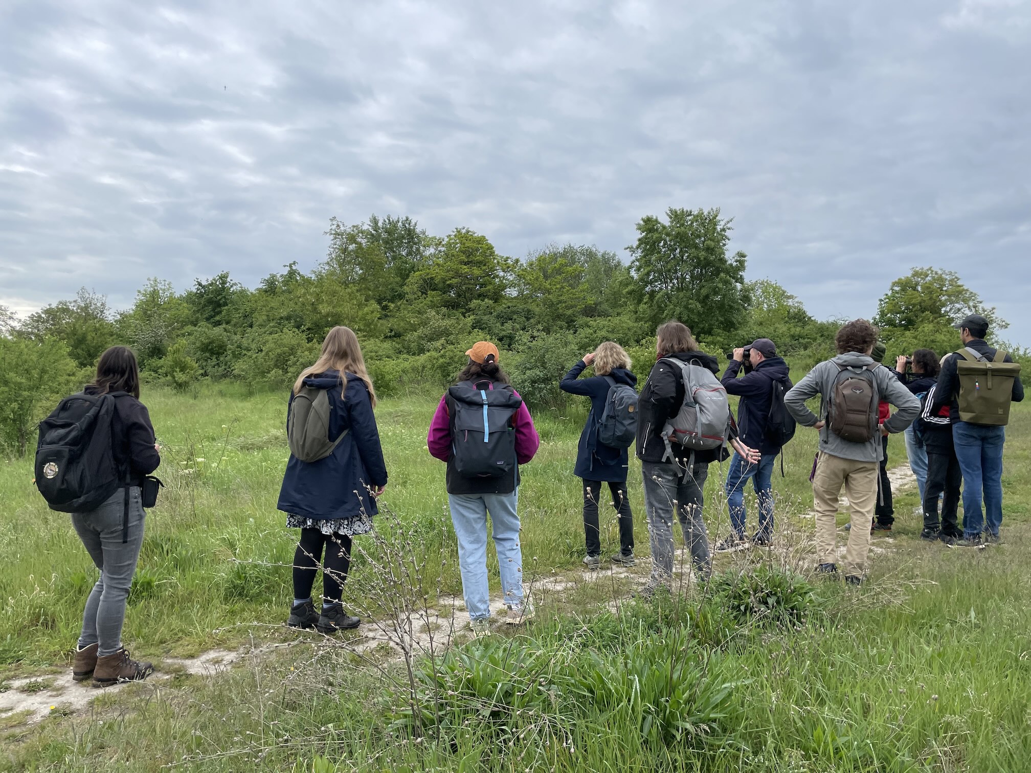 Birder*innen beim Birden!