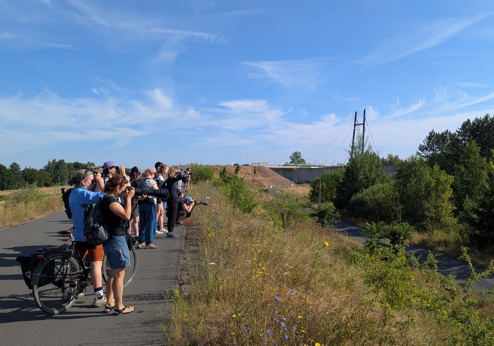 Die Birder*innen beobachten einen Neuntöter