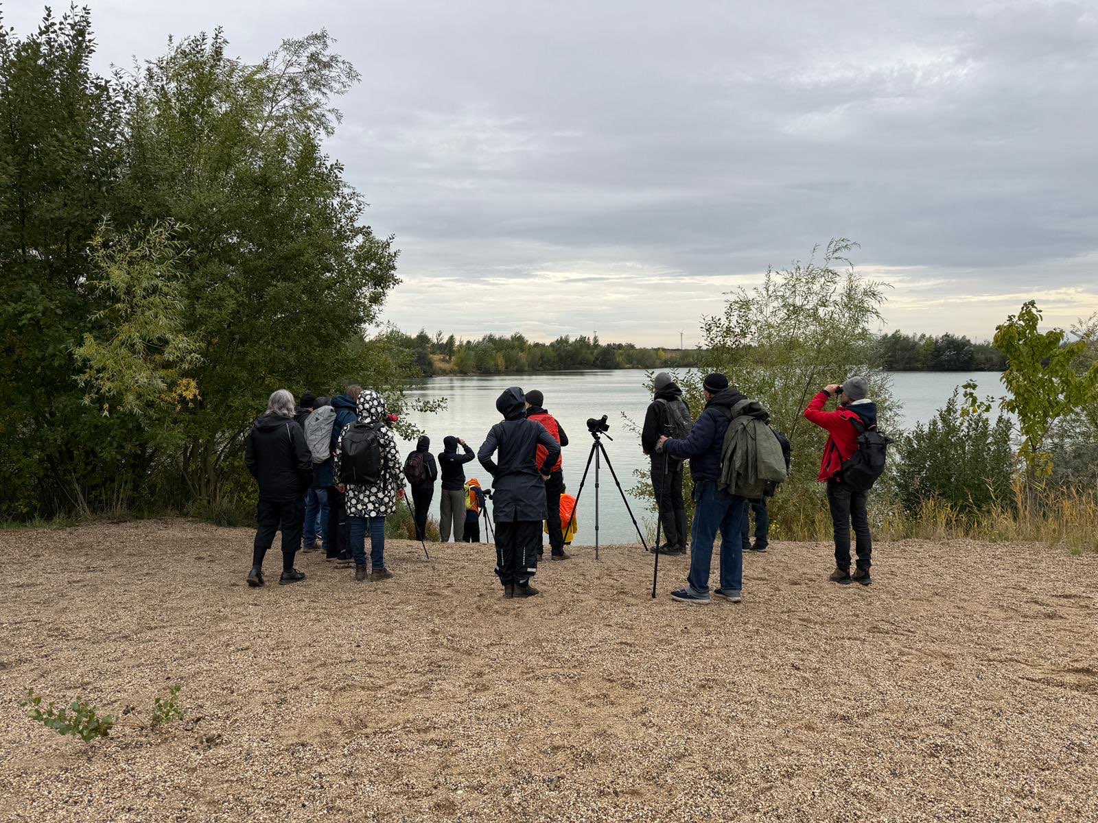 Noch mehr Birder*innen schauen auf die Kiesgrube