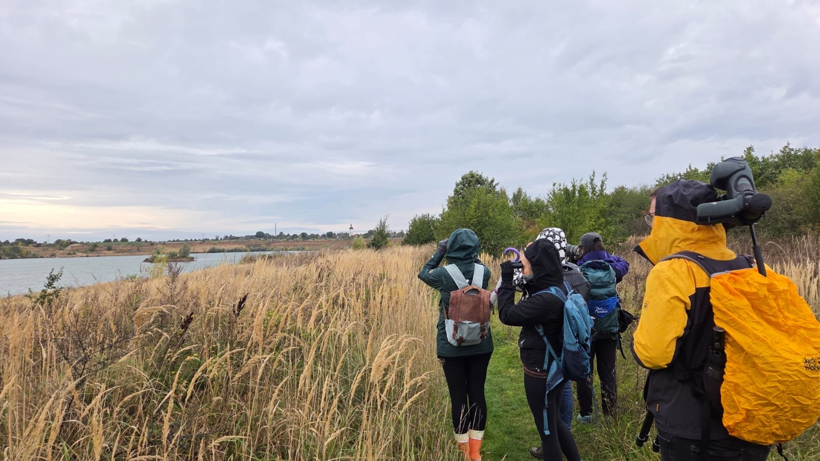 Oktober 2025: Kiesgrube Rehbach. Artenliste und erste Eindrücke.