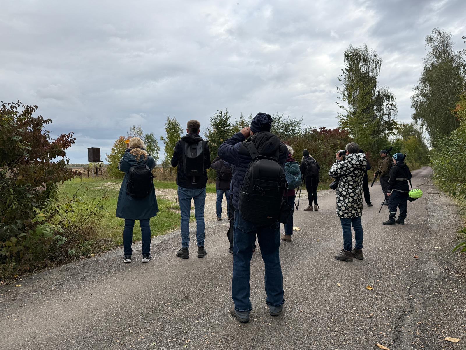 Birder*innen auf der Suche nach Vögeln