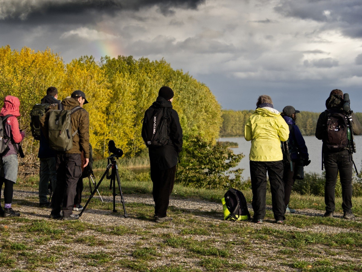 Oktober 2025: EuroBirdwatch am Rückhaltebecken Stöhna. Artenliste und erste Eindrücke.