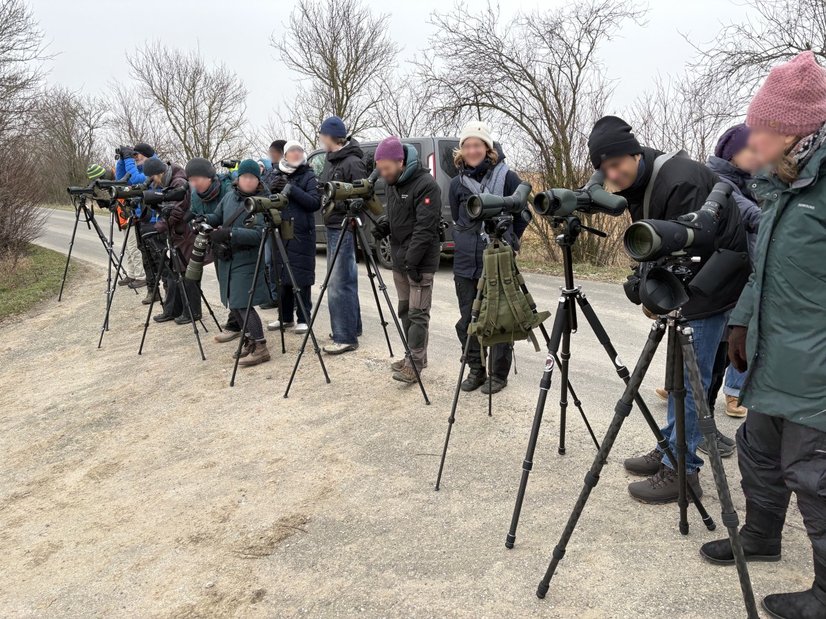 Ein Birding-Treff am vierten Samstag eines Monats? Es passieren außergewöhnliche Dinge und es stimmt: manchmal reicht ein Birding-Treff im Monat einfach nicht aus.