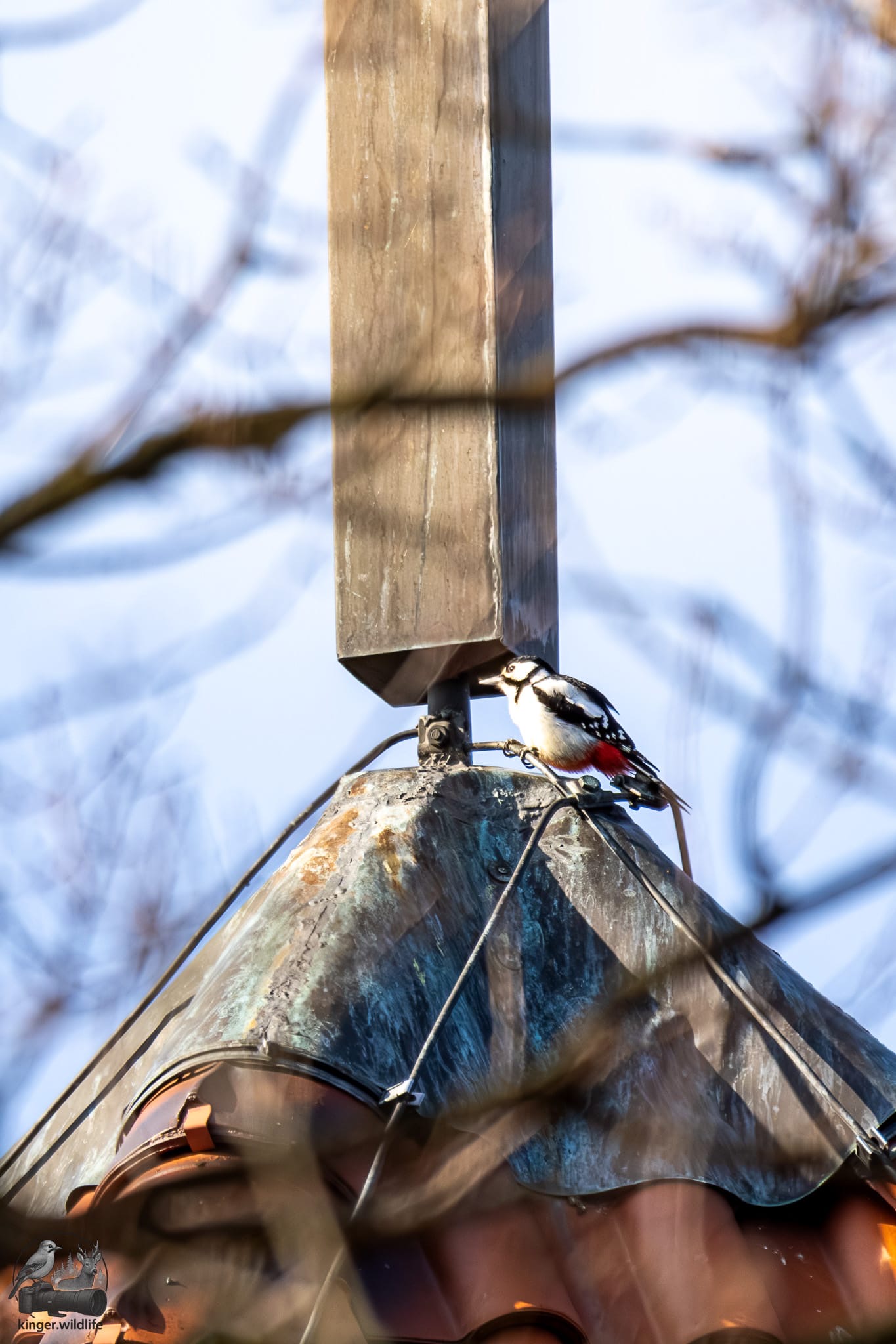 Buntspecht hämmert gegen Fuß des Kreuzes...