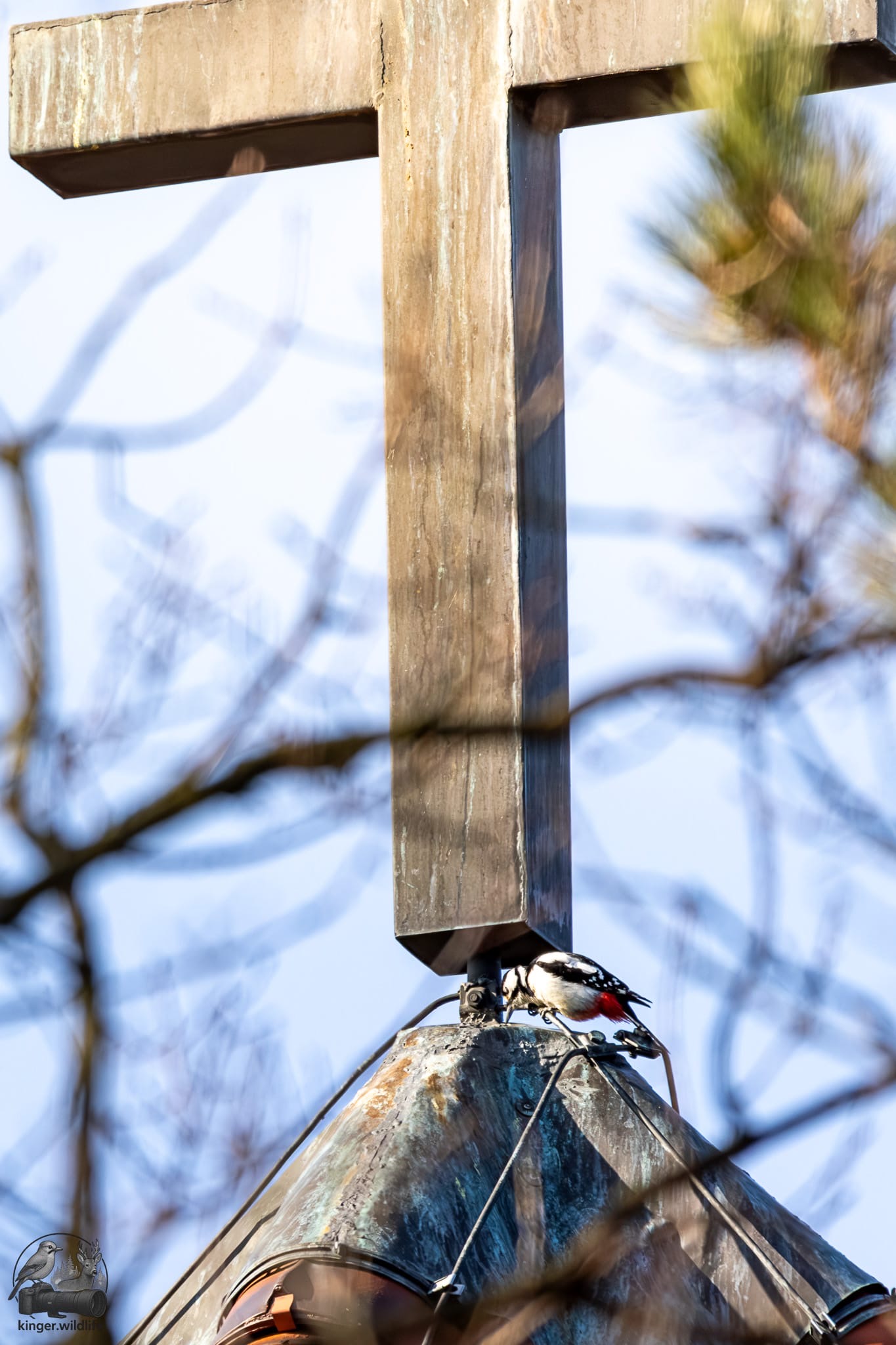... was mag er nur gegen das Kreuz haben?