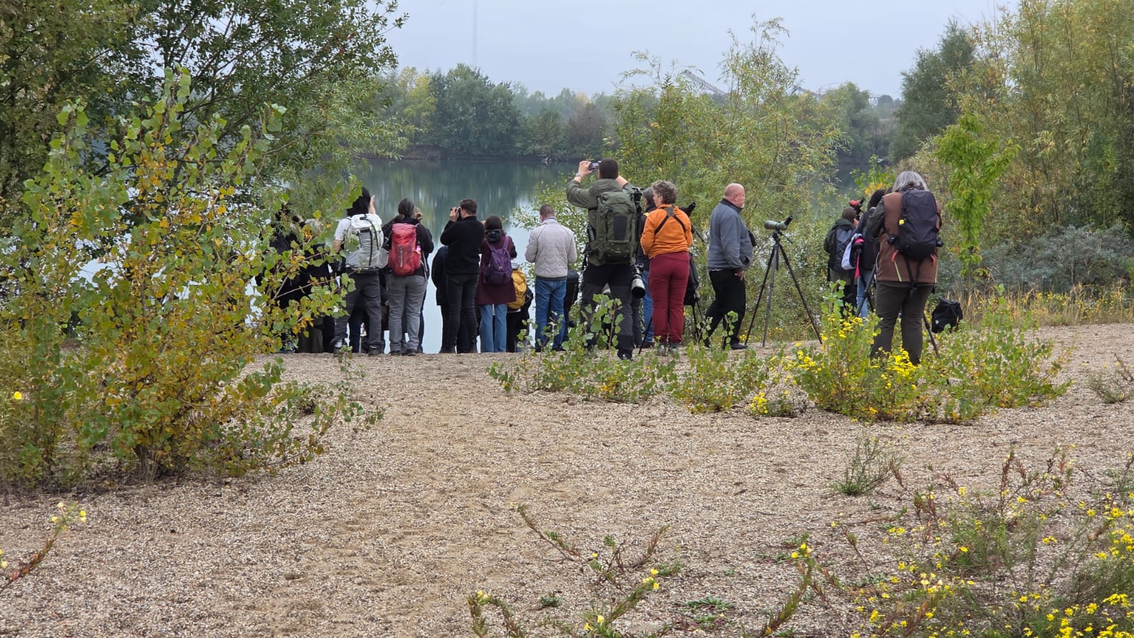 Die Birder*innen wagen einen ersten Ausblick auf die Kiesgrube