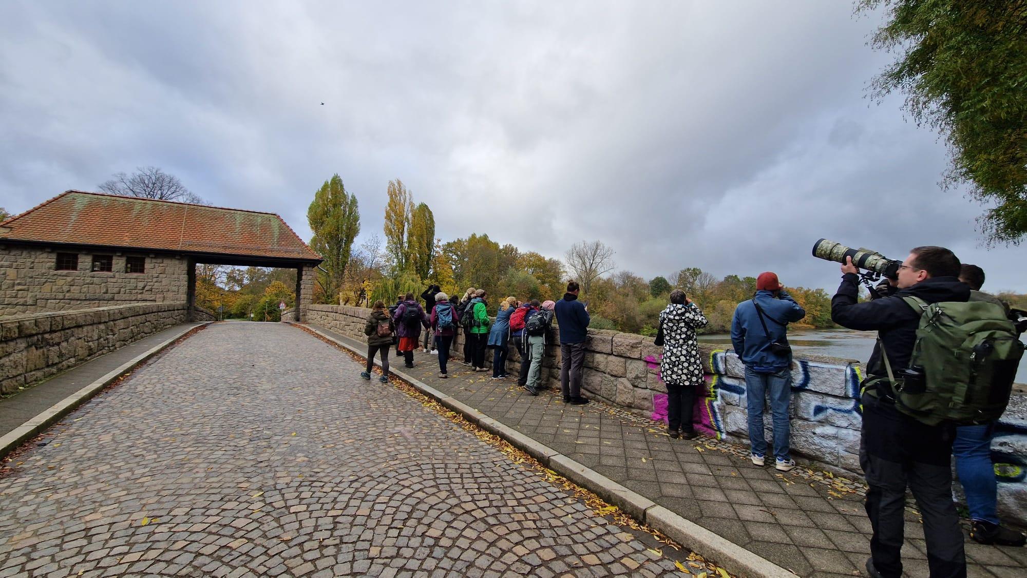 Birder*innen auf einer Brücke