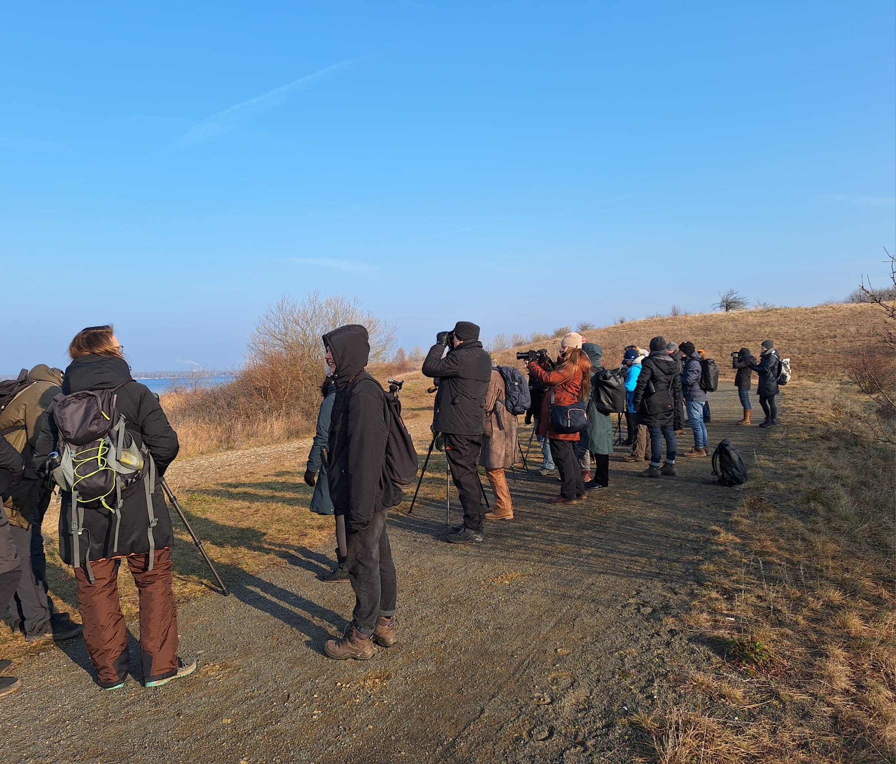 Birder*innen am Werbeliner See