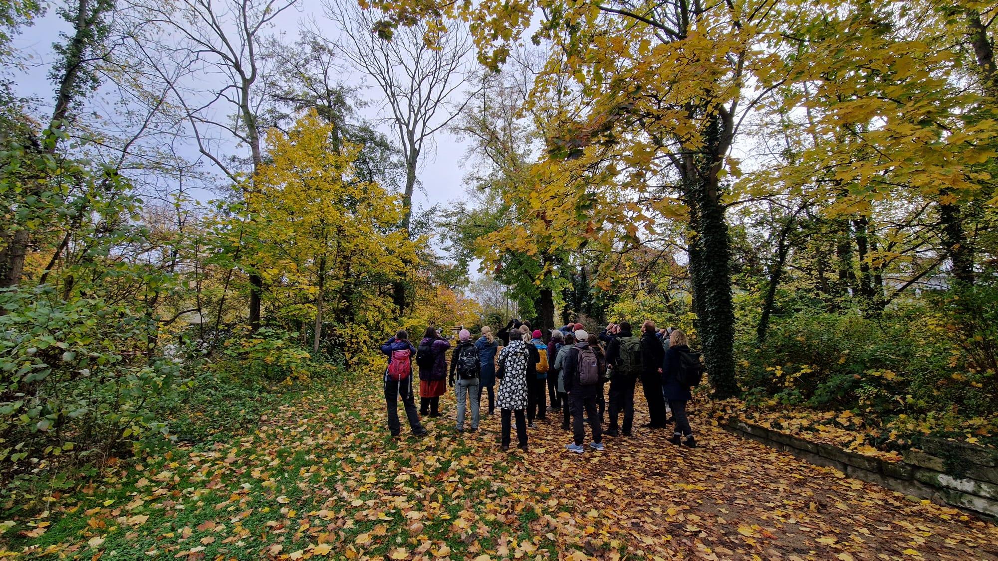 Birder*innen im Herstwald